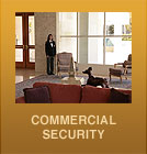 Commercial Security