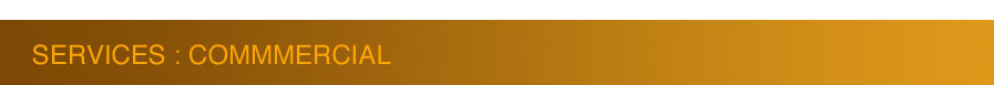 Commercial Services