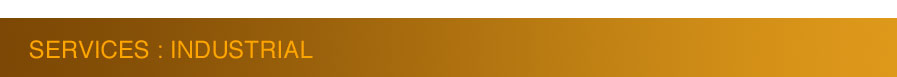 Industrial Services